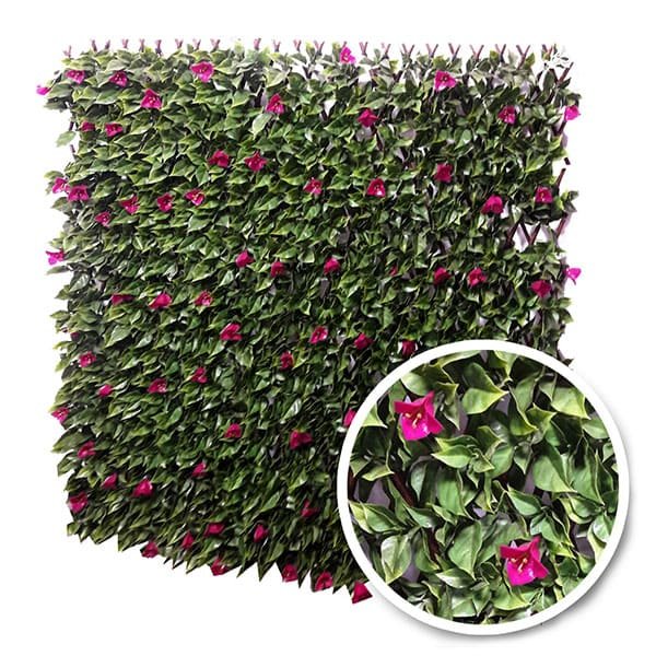 Treillis Extensible BOUGAINVILLIERS