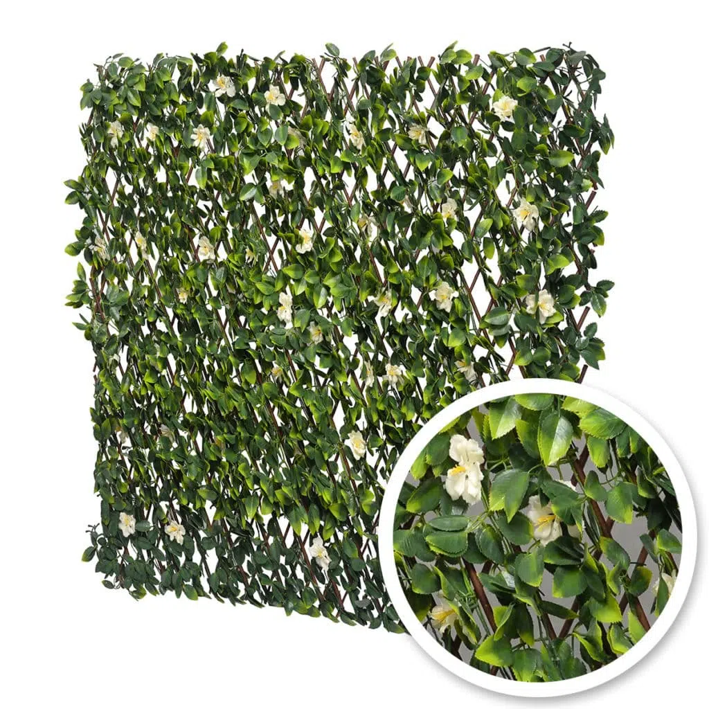 Treillis Extensible JASMIN FLEURI