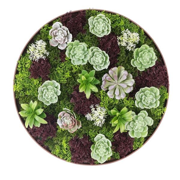 Cadre mural rond plantes artificielles SUCCULENTES